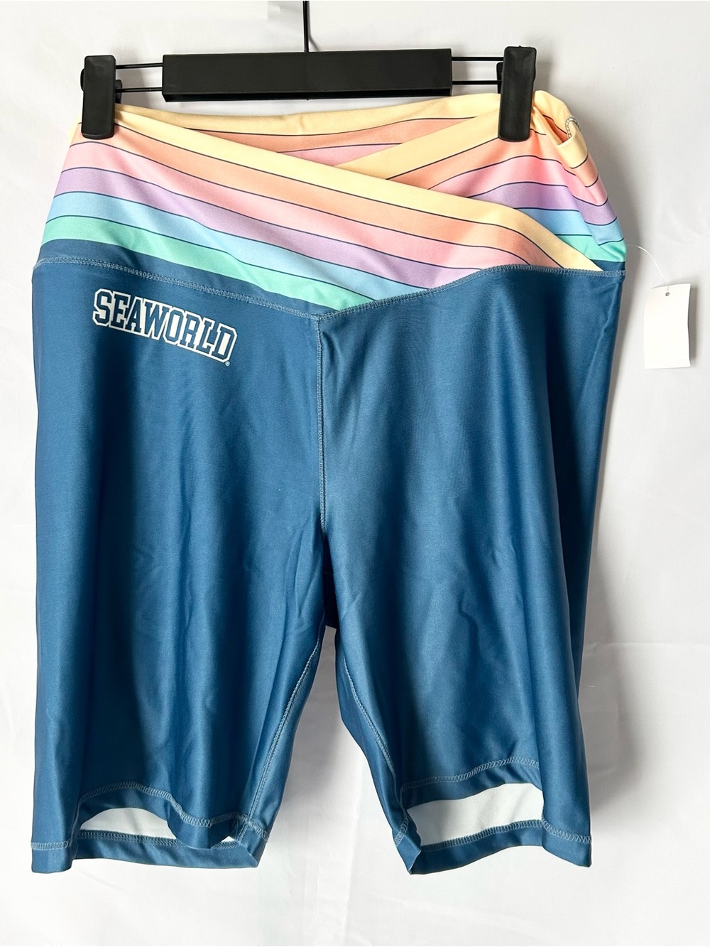 Seaworld Women's Teal Athletic Shorts with Rainbow Waistband